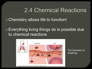 Chemistry allows life to function!
Everything living things do is possible due
to chemical reactions
The chemistry of
breathing
 