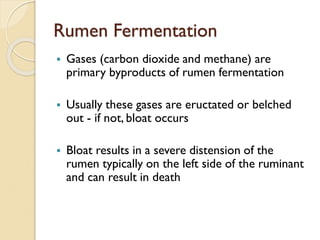carbohydrates Digestion in Ruminants.pdf