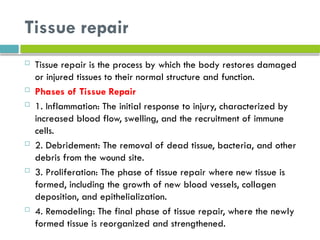 CH 2 PATHOLOGY...inflammation and repair.pptx