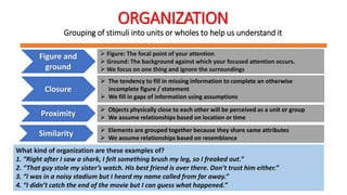 ORGANIZATION
Grouping of stimuli into units or wholes to help us understand it
Figure and
ground
 Figure: The focal point of your attention
 Ground: The background against which your focused attention occurs.
 We focus on one thing and ignore the surroundings
Closure
 The tendency to fill in missing information to complete an otherwise
incomplete figure / statement
 We fill in gaps of information using assumptions
Proximity
 Objects physically close to each other will be perceived as a unit or group
 We assume relationships based on location or time
Similarity  Elements are grouped together because they share same attributes
 We assume relationships based on resemblance
What kind of organization are these examples of?
1. “Right after I saw a shark, I felt something brush my leg, so I freaked out.”
2. “That guy stole my sister’s watch. His best friend is over there. Don’t trust him either.”
3. “I was in a noisy stadium but I heard my name called from far away.”
4. “I didn’t catch the end of the movie but I can guess what happened.”
 
