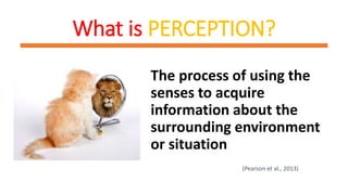 What is PERCEPTION?
The process of using the
senses to acquire
information about the
surrounding environment
or situation
(Pearson et al., 2013)
 