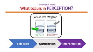 The Perceptual Process
What occurs in PERCEPTION?
Organization InterpretationSelection
 