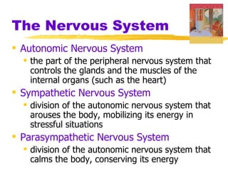 The Nervous System
 Autonomic Nervous System
   the part of the peripheral nervous system that
    controls the glands and the muscles of the
    internal organs (such as the heart)
 Sympathetic Nervous System
   division of the autonomic nervous system that
    arouses the body, mobilizing its energy in
    stressful situations
 Parasympathetic Nervous System
   division of the autonomic nervous system that
    calms the body, conserving its energy
 