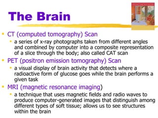 The Brain
 CT (computed tomography) Scan
   a series of x-ray photographs taken from different angles
    and combined by computer into a composite representation
    of a slice through the body; also called CAT scan
 PET (positron emission tomography) Scan
   a visual display of brain activity that detects where a
    radioactive form of glucose goes while the brain performs a
    given task
 MRI (magnetic resonance imaging)
   a technique that uses magnetic fields and radio waves to
    produce computer-generated images that distinguish among
    different types of soft tissue; allows us to see structures
    within the brain
 