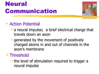 Neural
Communication

 Action Potential
   a neural impulse; a brief electrical charge that
    travels down an axon
   generated by the movement of positively
    charged atoms in and out of channels in the
    axon’s membrane
 Threshold
   the level of stimulation required to trigger a
    neural impulse
 