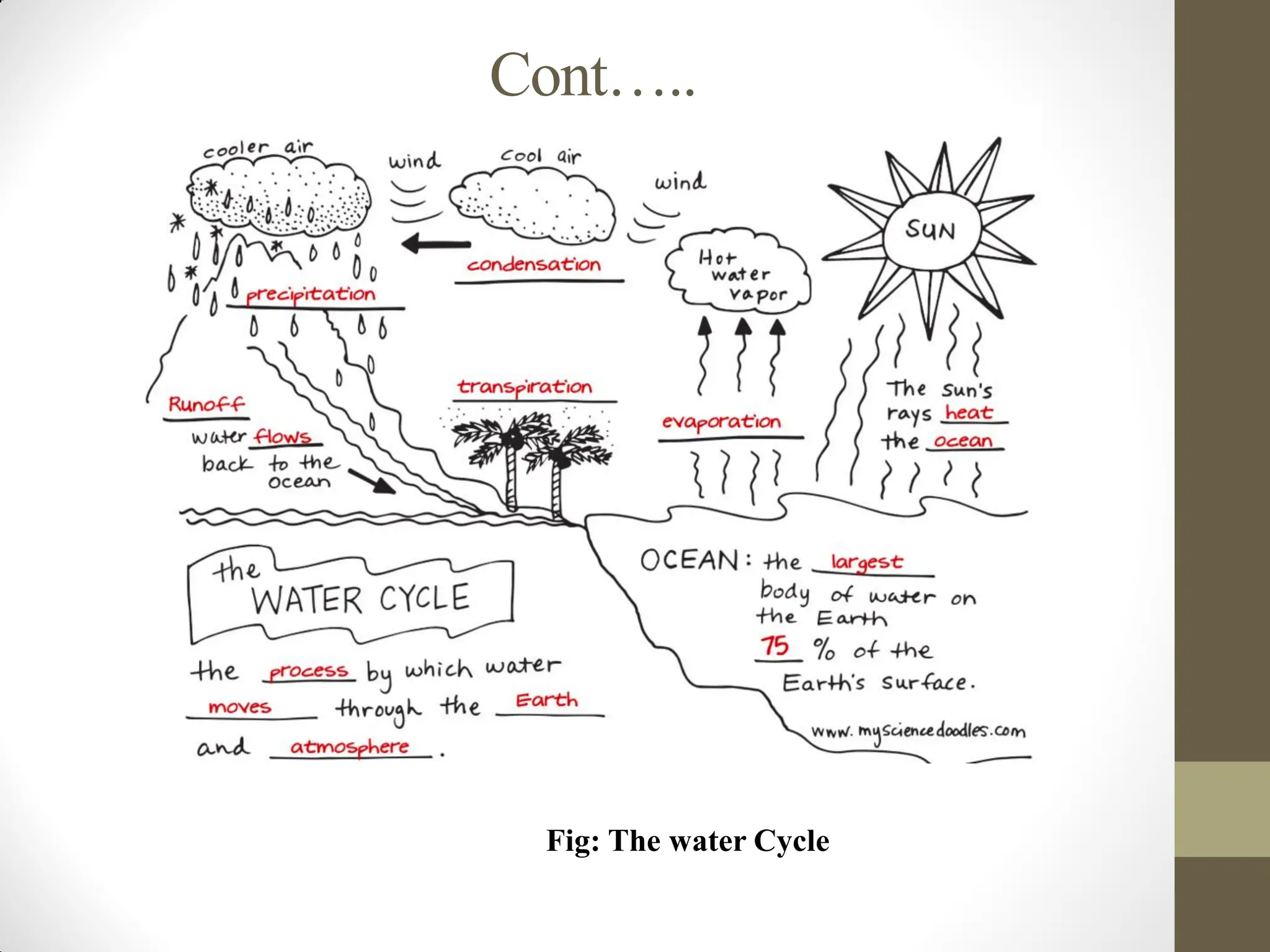 Cont…..
Fig: The water Cycle
 