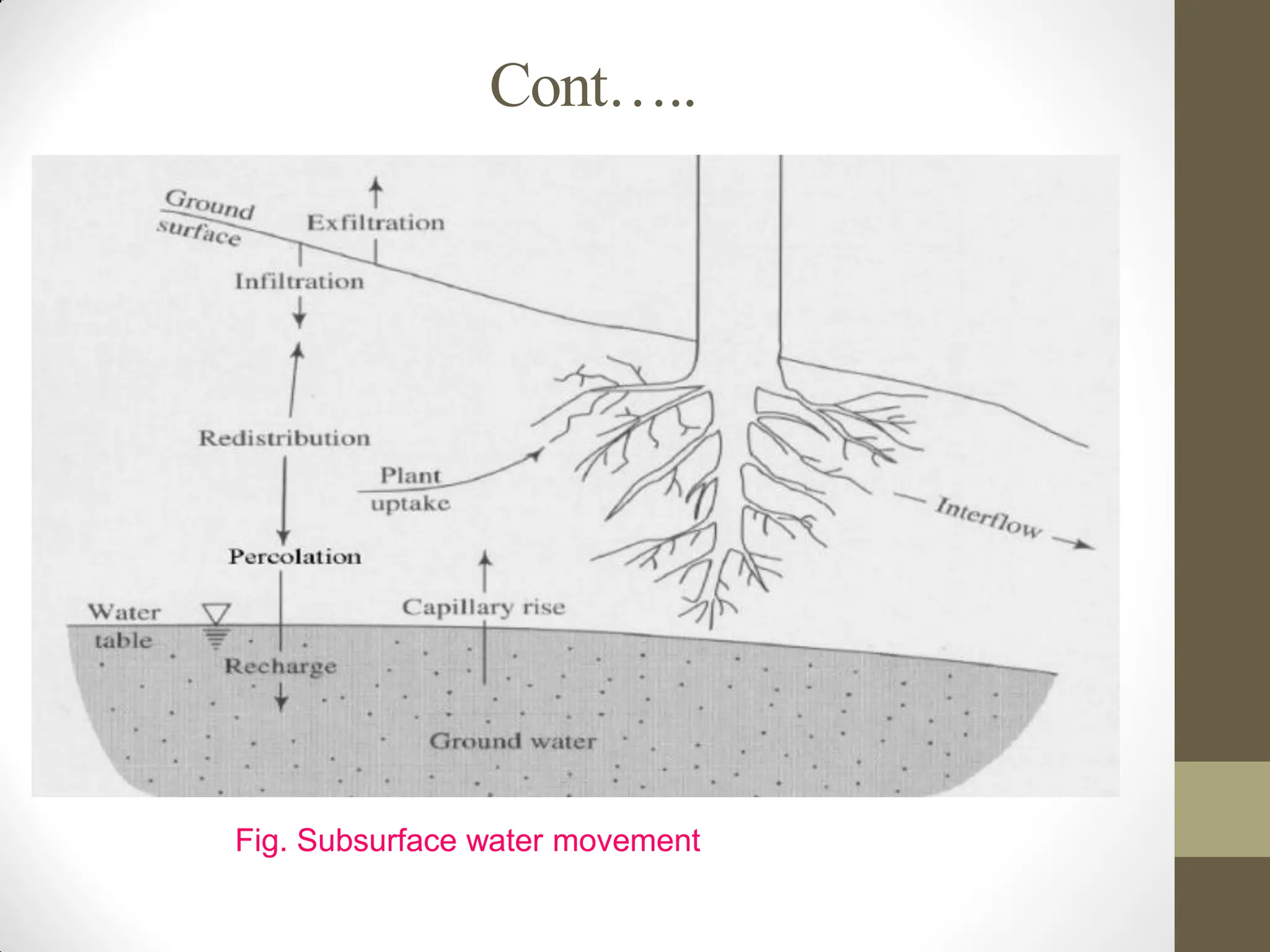 Cont…..
Fig. Subsurface water movement
 