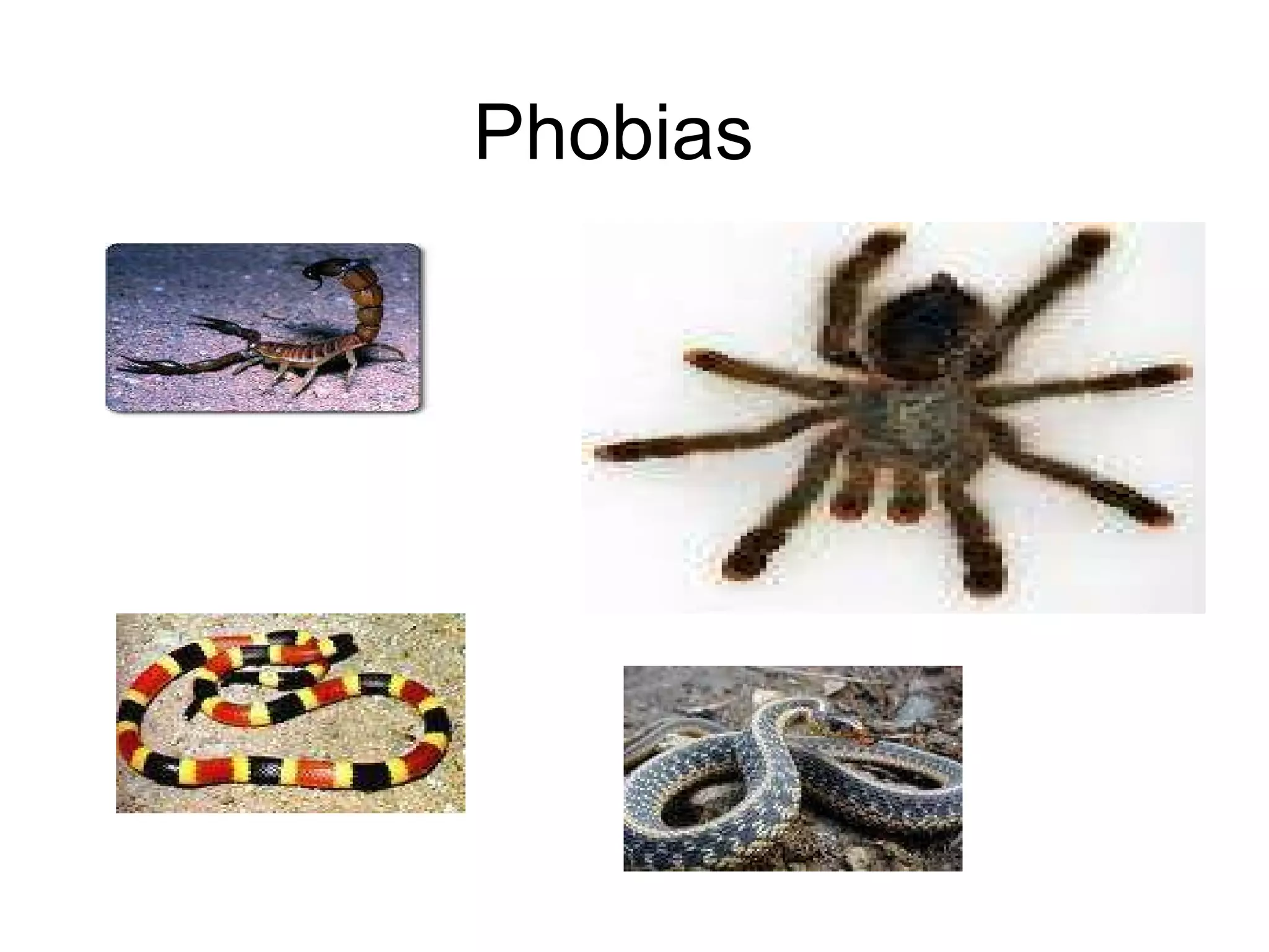 Phobias 