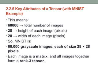 Tensor Data Representation Data Representations for Neural Networks (Deep Learning Fundamentals ...