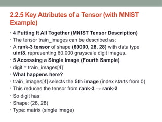 Tensor Data Type Data Representations for Neural Networks (Deep Learning Fundamentals ...