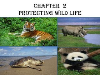 Chapter 2
Protecting Wild Life
 