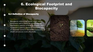 The urban ecosystem for urban ecology.pptx
