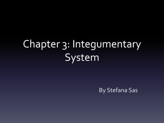 Chapter 3: Integumentary System By Stefana Sas 