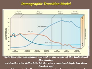 Demographic Transition Model




Note how the population surged in the wake of the Industrial
                          Revolution
as death rates fell while birth rates remained high but then
                          leveled out
 