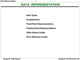 1Data Representation
Computer Organization Computer Architectures Lab
DATA REPRESENTATION
Data Types
Complements
Fixed Point Representations
Floating Point Representations
Other Binary Codes
Error Detection Codes
 