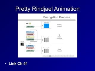 Pretty Rindjael Animation
• Link Ch 4f
 