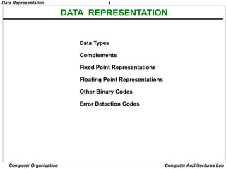 DATA REPRESENTATION | PPT