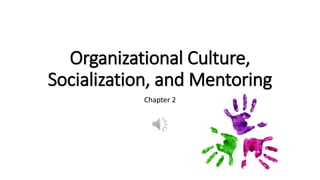 Organizational Culture,
Socialization, and Mentoring
Chapter 2
 