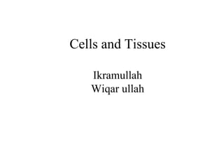 Cells and Tissues
Ikramullah
Wiqar ullah
 
