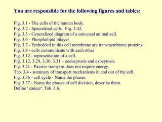 You are responsible for the following figures and tables : Fig. 3.1 - The cells of the human body.  Fig. 3.2 - Specialized cells.  Fig. 3.42. Fig. 3.3 - Generalized diagram of a universal animal cell.  Fig. 3.6 - Phospholipid bilayer  Fig. 3.7 - Embedded in this cell membrane are transmembrane proteins. Fig. 3.8 - cells communicate with each other  Fig. 3.12 - representation of a cell.  Fig. 3.12, 3.29, 3.30, 3.31 – endocytosis and exocytosis. Fig. 3.21 - Passive transport does not require energy.  Tab. 3.4 - summary of transport mechanisms in and out of the cell. Fig. 3.36 - cell cycle - Name the phases. Fig. 3.37 - Name the phases of cell division, describe them. Define ' cancer'. Tab. 3.6. 