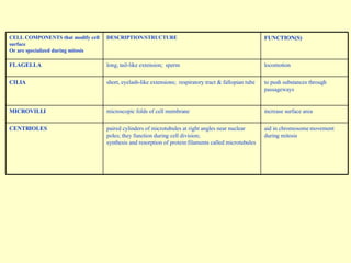 CELL COMPONENTS that modify cell surface Or are specialized during mitosis DESCRIPTION/STRUCTURE FUNCTION(S) FLAGELLA long, tail-like extension;  sperm locomotion CILIA short, eyelash-like extensions;  respiratory tract & fallopian tube to push substances through passageways MICROVILLI microscopic folds of cell membrane increase surface area CENTRIOLES paired cylinders of microtubules at right angles near nuclear poles; they function during cell division; synthesis and resorption of protein filaments called microtubules aid in chromosome movement during mitosis 
