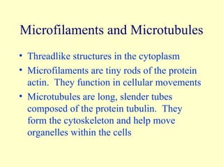 Microfilaments and Microtubules Threadlike structures in the cytoplasm Microfilaments are tiny rods of the protein actin.  They function in cellular movements Microtubules are long, slender tubes composed of the protein tubulin.  They form the cytoskeleton and help move organelles within the cells 