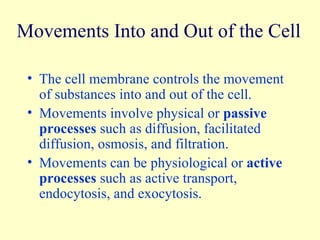 Movements Into and Out of the Cell The cell membrane controls the movement of substances into and out of the cell. Movements involve physical or  passive processes  such as diffusion, facilitated diffusion, osmosis, and filtration. Movements can be physiological or  active processes  such as active transport, endocytosis, and exocytosis. 