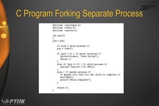 C Program Forking Separate Process

 