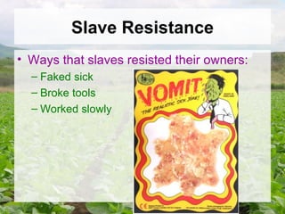 Slave Resistance Ways that slaves resisted their owners: Faked sick Broke tools Worked slowly 