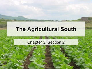 The Agricultural South Chapter 3, Section 2 