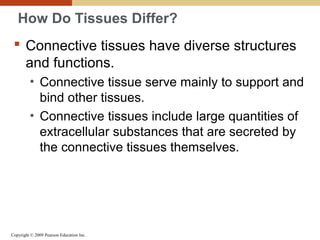 Copyright © 2009 Pearson Education Inc.
How Do Tissues Differ?
 Connective tissues have diverse structures
and functions.
• Connective tissue serve mainly to support and
bind other tissues.
• Connective tissues include large quantities of
extracellular substances that are secreted by
the connective tissues themselves.
 