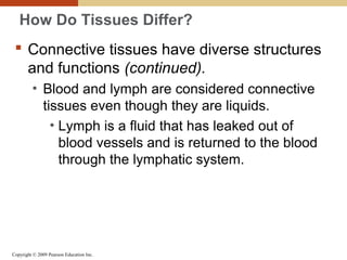Copyright © 2009 Pearson Education Inc.
How Do Tissues Differ?
 Connective tissues have diverse structures
and functions (continued).
• Blood and lymph are considered connective
tissues even though they are liquids.
• Lymph is a fluid that has leaked out of
blood vessels and is returned to the blood
through the lymphatic system.
 