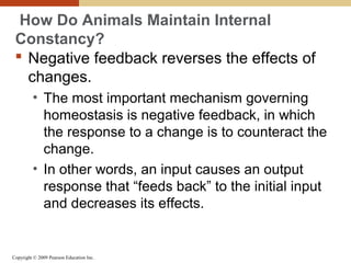 Copyright © 2009 Pearson Education Inc.
How Do Animals Maintain Internal
Constancy?
 Negative feedback reverses the effects of
changes.
• The most important mechanism governing
homeostasis is negative feedback, in which
the response to a change is to counteract the
change.
• In other words, an input causes an output
response that “feeds back” to the initial input
and decreases its effects.
 