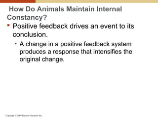 Copyright © 2009 Pearson Education Inc.
How Do Animals Maintain Internal
Constancy?
 Positive feedback drives an event to its
conclusion.
• A change in a positive feedback system
produces a response that intensifies the
original change.
 