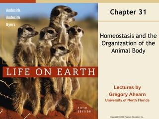 Copyright © 2009 Pearson Education, Inc..
Lectures by
Gregory Ahearn
University of North Florida
Chapter 31
Homeostasis and the
Organization of the
Animal Body
 