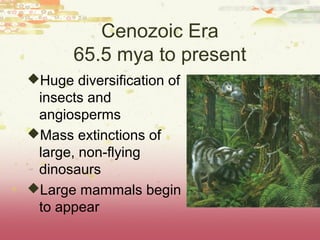 AP Biology Ch 27 Introduction to Animal Diversity | PPT