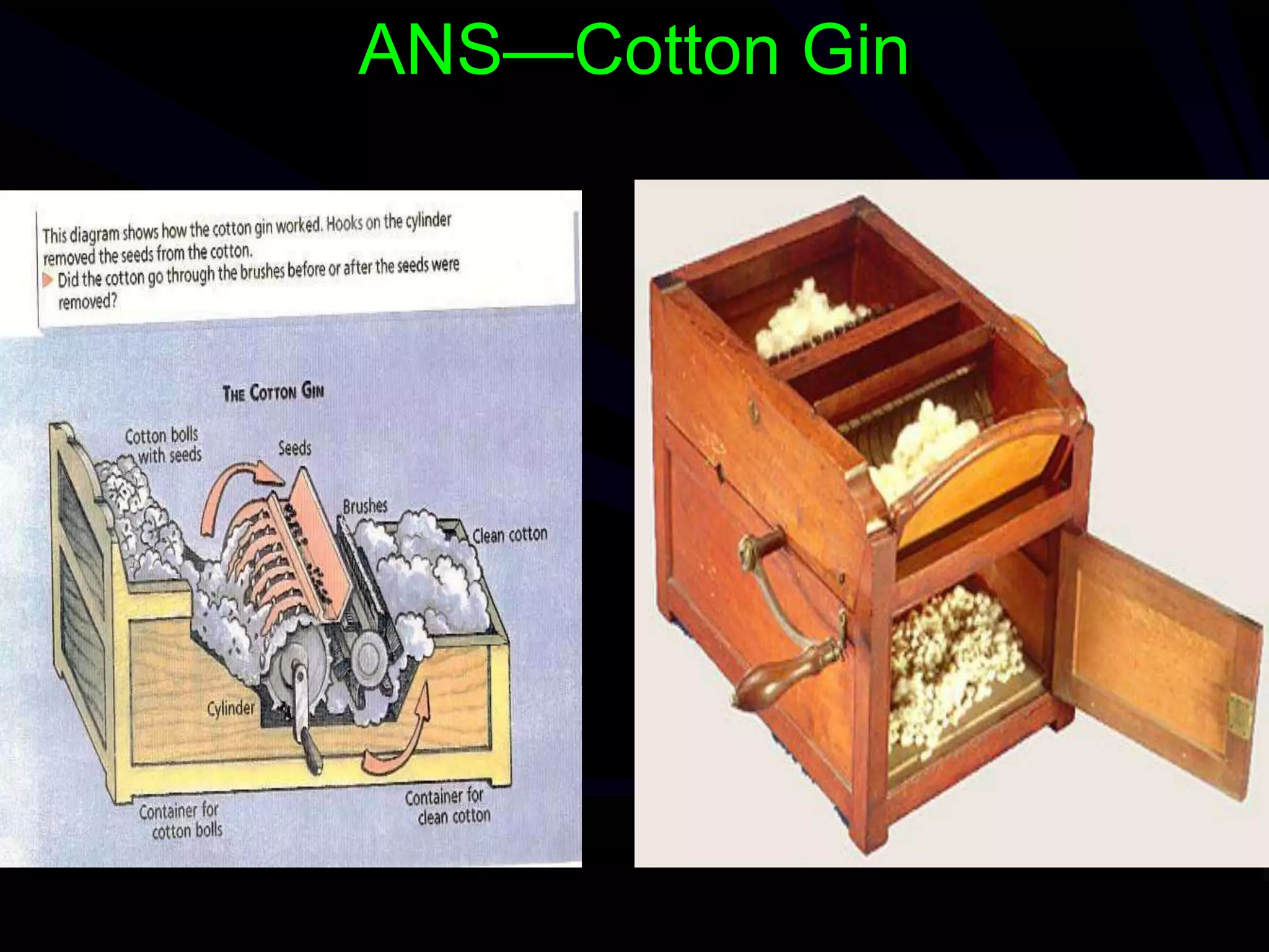 ANS—Cotton Gin
 