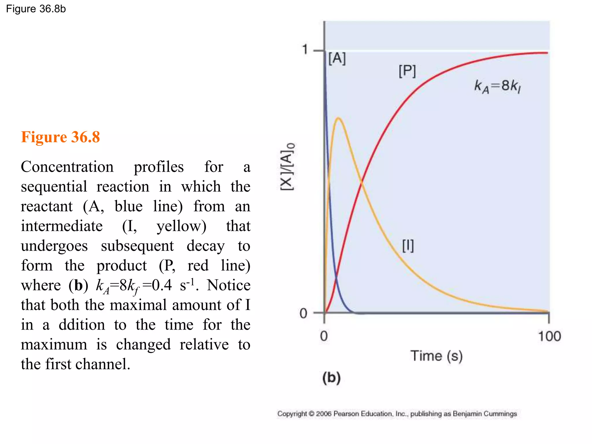 Figure 36.8b
Figure 36.8
Concentration profiles for a
sequential reaction in which the
reactant (A, blue line) from an
intermediate (I, yellow) that
undergoes subsequent decay to
form the product (P, red line)
where (b) kA=8kf =0.4 s-1. Notice
that both the maximal amount of I
in a ddition to the time for the
maximum is changed relative to
the first channel.
 