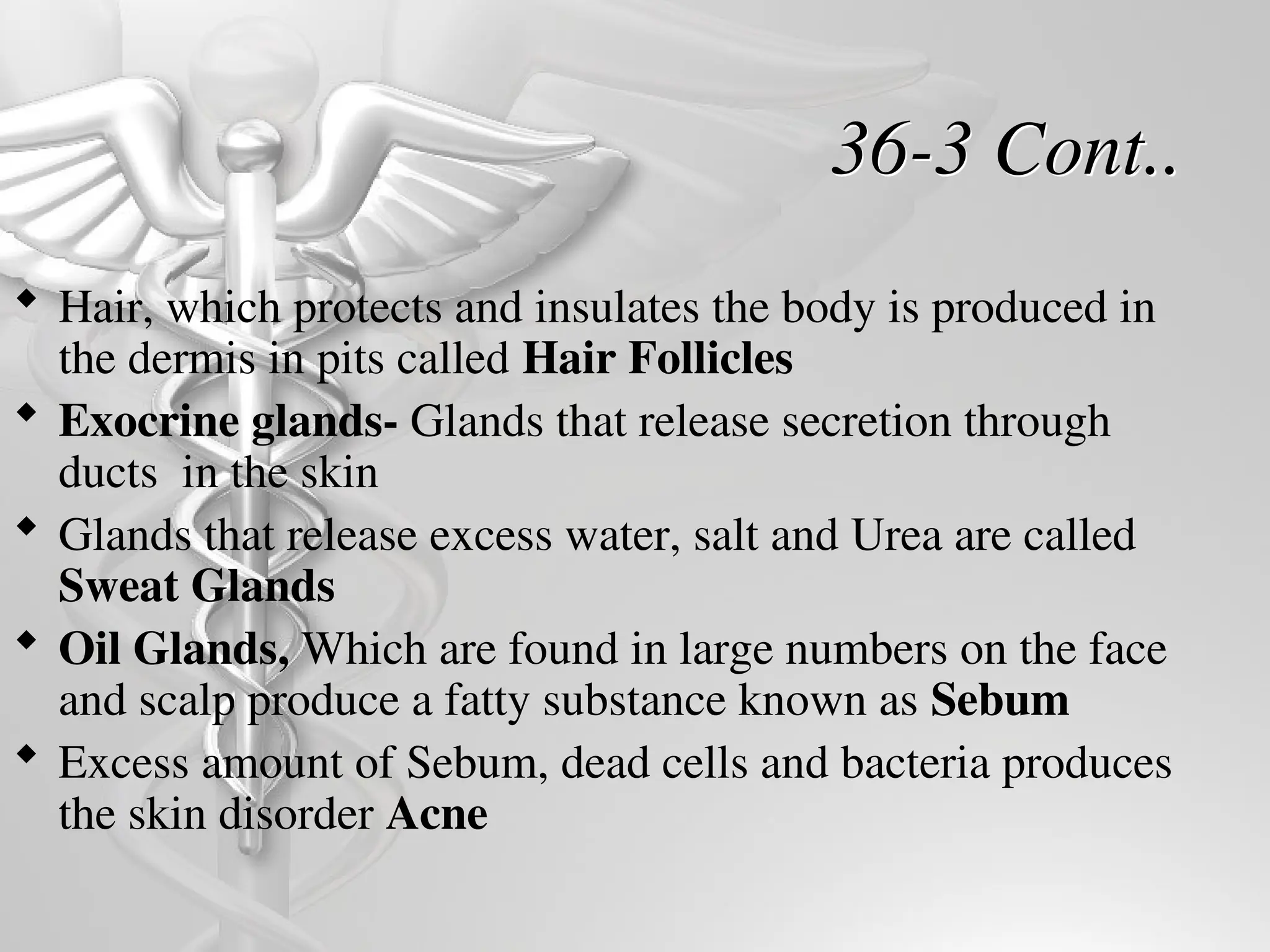 36-3 Cont..
 Hair, which protects and insulates the body is produced in
the dermis in pits called Hair Follicles
 Exocrine glands- Glands that release secretion through
ducts in the skin
 Glands that release excess water, salt and Urea are called
Sweat Glands
 Oil Glands, Which are found in large numbers on the face
and scalp produce a fatty substance known as Sebum
 Excess amount of Sebum, dead cells and bacteria produces
the skin disorder Acne
 