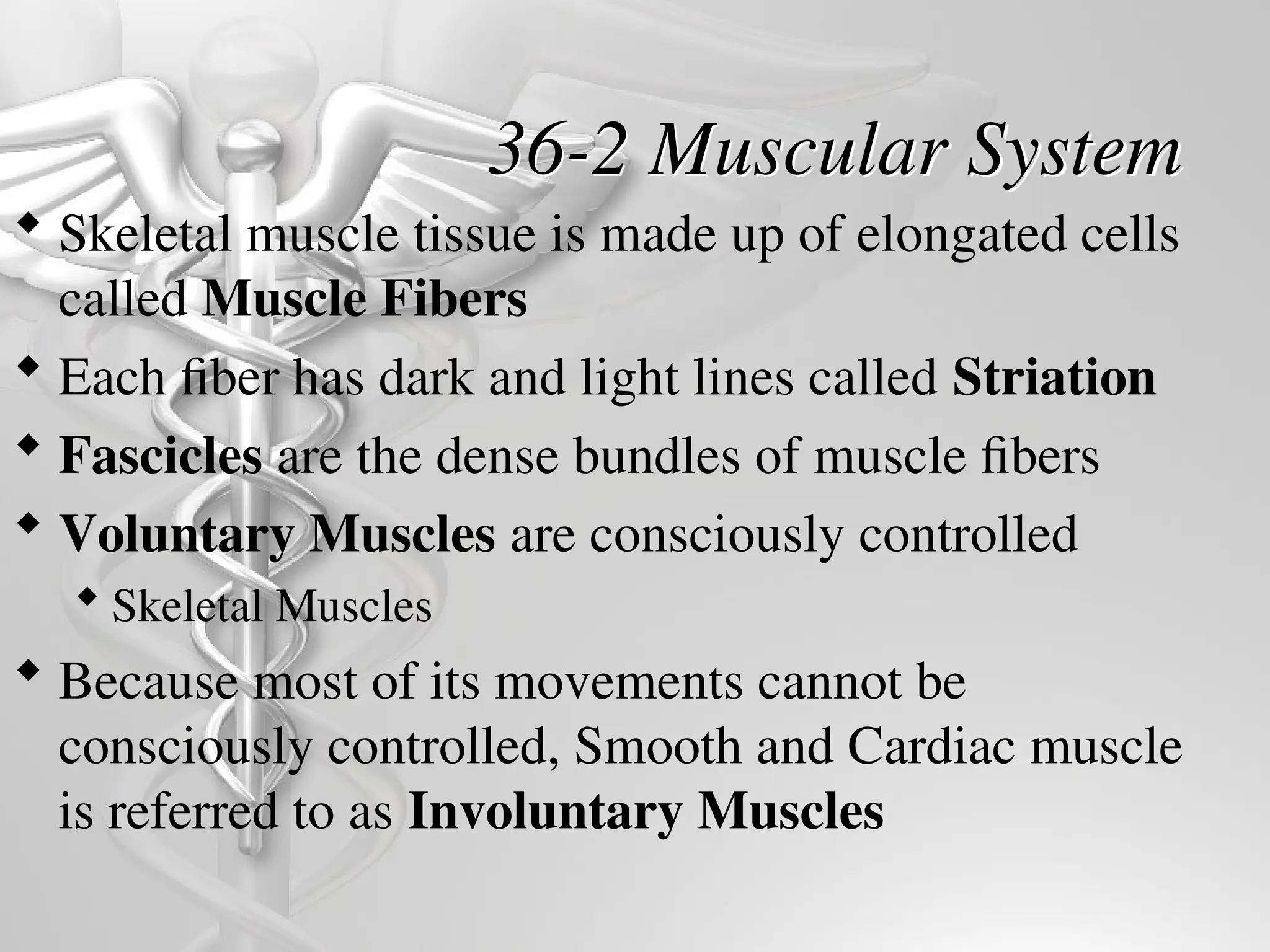 36-2 Muscular System
 Skeletal muscle tissue is made up of elongated cells
called Muscle Fibers
 Each fiber has dark and light lines called Striation
 Fascicles are the dense bundles of muscle fibers
 Voluntary Muscles are consciously controlled
 Skeletal Muscles
 Because most of its movements cannot be
consciously controlled, Smooth and Cardiac muscle
is referred to as Involuntary Muscles
 