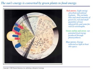The sun's energy is converted by green plants to food energy.    Red arrows:   Light energy absorbed and utilized byplants.    This includes blue and small amounts of green  (1),  red and small quantities of near infrared  (2),  and some far red  (3)  wavelengths.   Green outline and arrow:   net potential food energy produced through photosynthesis.  Blue arrows:  Energy reflected as light  or  heat into space. 