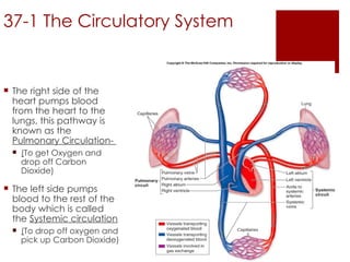 Drop Off Circulation Chapter_37_Circulatory_butterfyl Biology | PPT