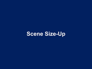 Scene Size-Up
 