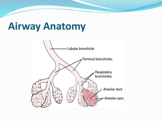 Airway Management Techniques in Emergency Care Lecture 3 | PDF