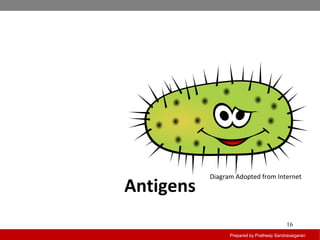 Antigens
Prepared by Pratheep Sandrasaigaran
16
Diagram Adopted from Internet
 