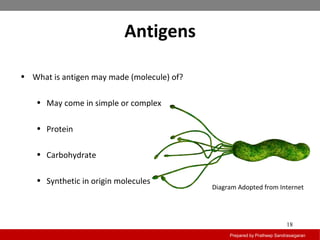 Diagram Adopted from Internet
Antigens
Prepared by Pratheep Sandrasaigaran
18
• What is antigen may made (molecule) of?
• May come in simple or complex
• Protein
• Carbohydrate
• Synthetic in origin molecules
 