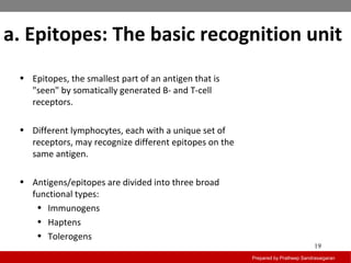 a. Epitopes: The basic recognition unit
Prepared by Pratheep Sandrasaigaran
19
• Epitopes, the smallest part of an antigen that is
"seen" by somatically generated B- and T-cell
receptors.
• Different lymphocytes, each with a unique set of
receptors, may recognize different epitopes on the
same antigen.
• Antigens/epitopes are divided into three broad
functional types:
• Immunogens
• Haptens
• Tolerogens
 