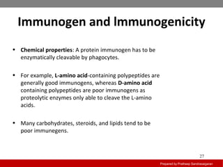 Immunogen and lmmunogenicity
Prepared by Pratheep Sandrasaigaran
27
• Chemical properties: A protein immunogen has to be
enzymatically cleavable by phagocytes.
• For example, L-amino acid-containing polypeptides are
generally good immunogens, whereas D-amino acid
containing polypeptides are poor immunogens as
proteolytic enzymes only able to cleave the L-amino
acids.
• Many carbohydrates, steroids, and lipids tend to be
poor immunegens.
 