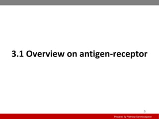 3.1 Overview on antigen-receptor
Prepared by Pratheep Sandrasaigaran
3
 