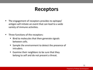 Receptors
Prepared by Pratheep Sandrasaigaran
32
• The engagement of receptors provides to epitope/
antigen will initiate an event that can lead to a wide
variety of immune activities.
• Three functions of the receptors:
• Bind to molecules that then generate signals
between cells.
• Sample the environment to detect the presence of
intruders.
• Examine their neighbors to be sure that they
belong to self and do not present a threat.
 